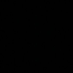 Meet your Posher, Ayana